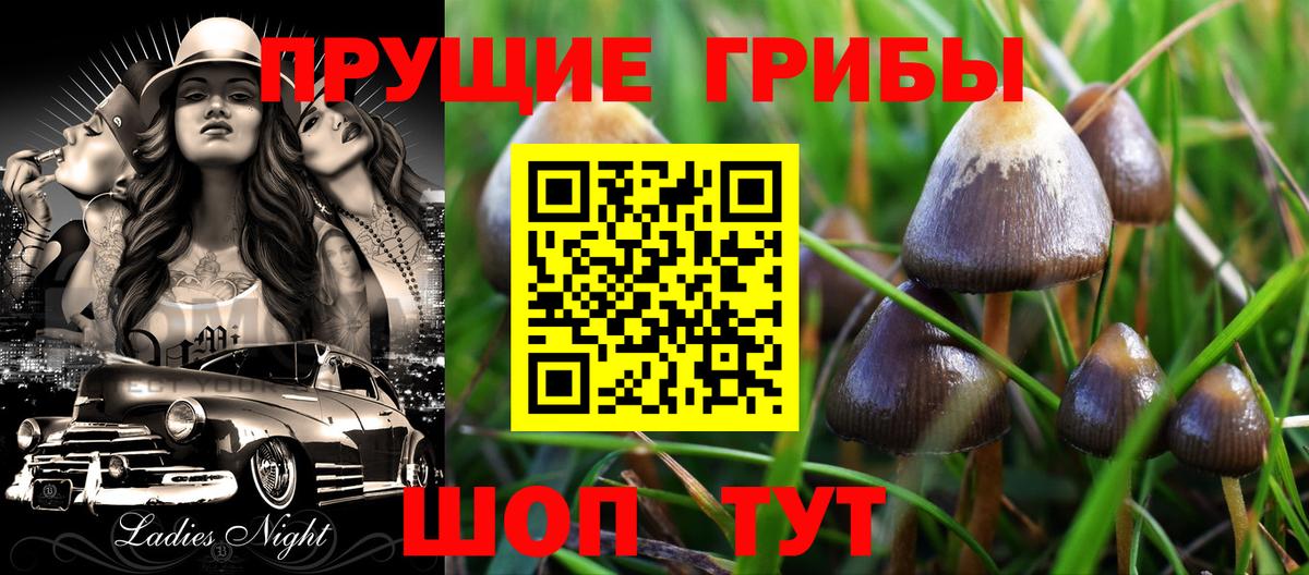 Псилоцибиновые грибы Magic Shrooms  Вход с VPN  Кисловодск 